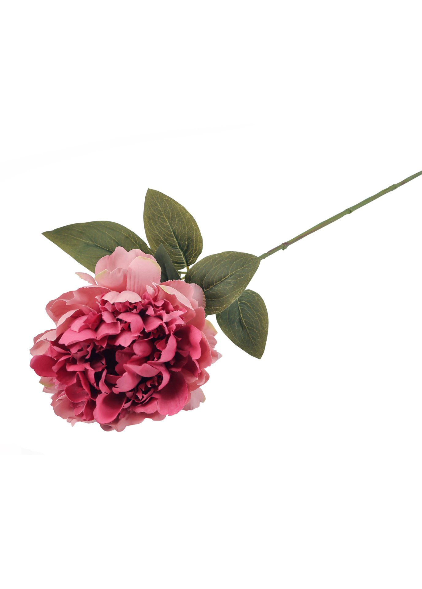 Şakayık Koyu Pembe 70 cm